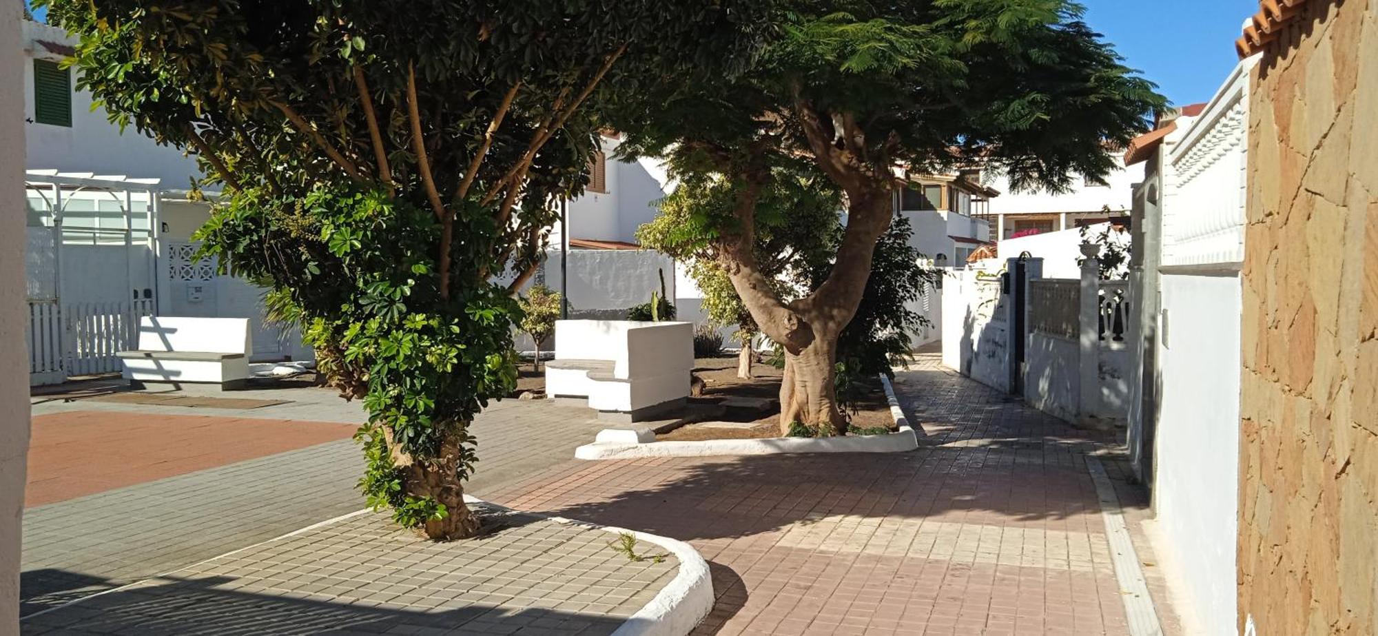 Oasis El Palmeral De Agaete מראה חיצוני תמונה